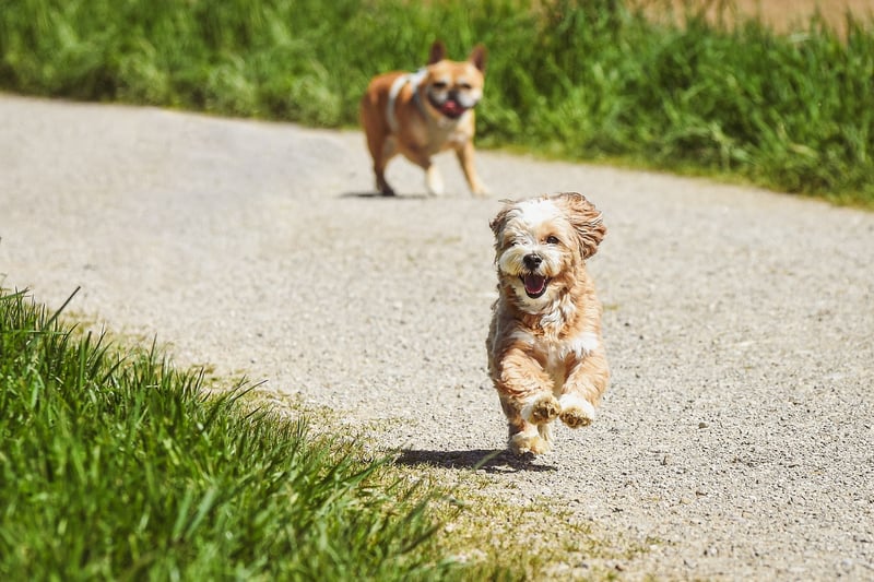 Running